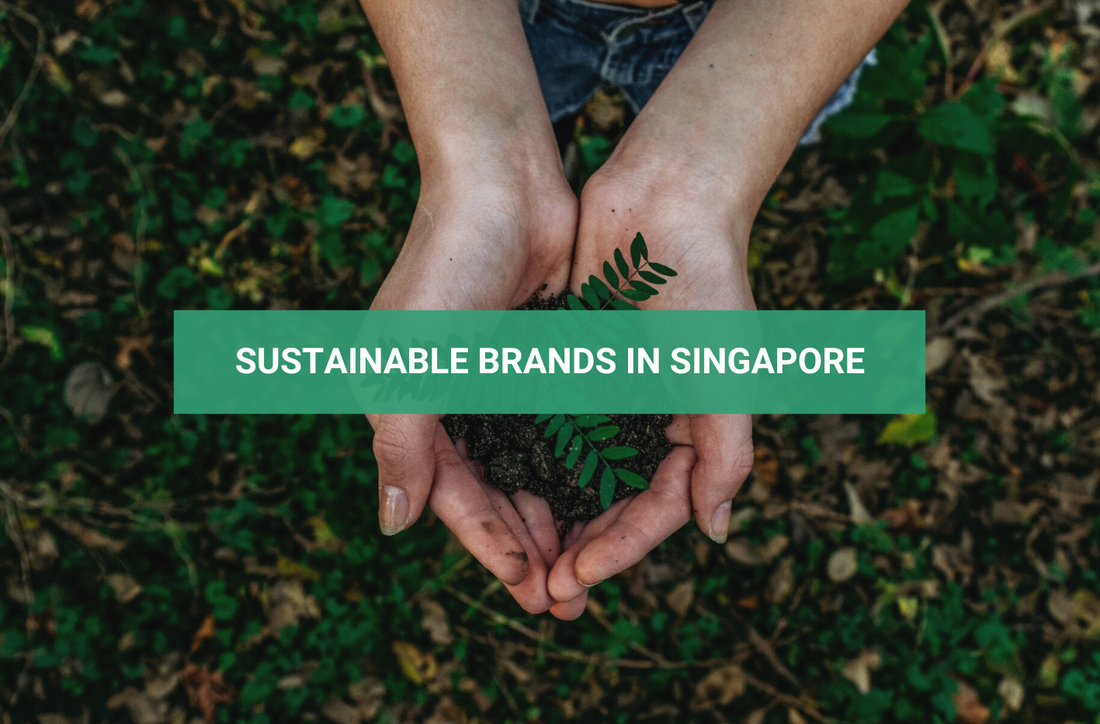 Sustainable brands in Singapore
